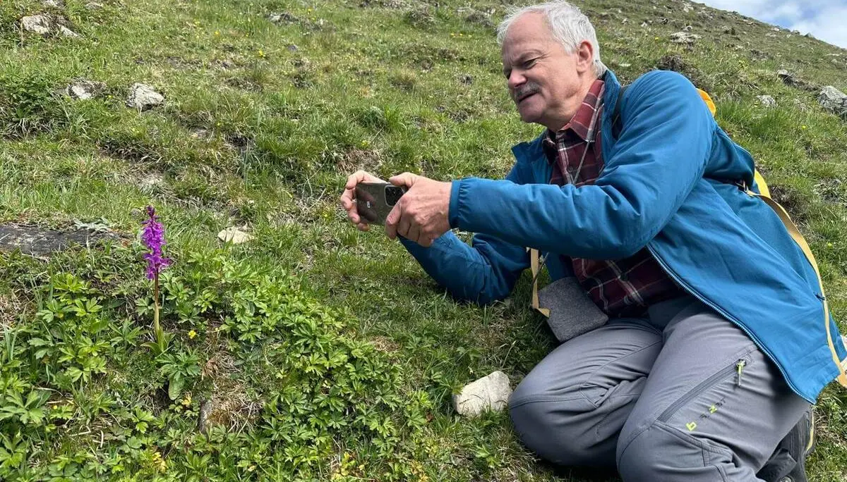 Person kniet auf einer Wiese und fotografiert eine violette Blume aus der Nähe; umgeben von Gras, kleinen Pflanzen und Hanglandschaft. | © DAV Markt Schwaben/Elke Kressirer