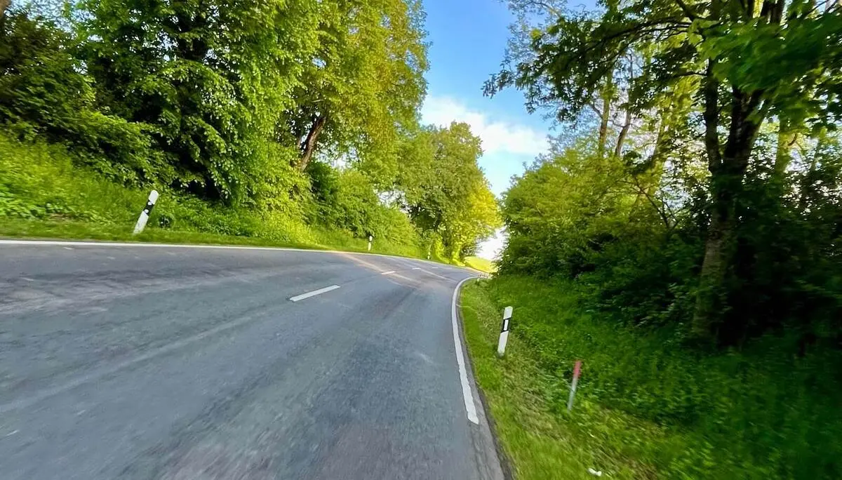 Asphaltstraße führt in sanfter Kurve durch dichten grünen Baumbestand; Sonnenlicht fällt durch Blätter auf die Fahrbahn. | © DAV Markt Schwaben/Miron Thoms
