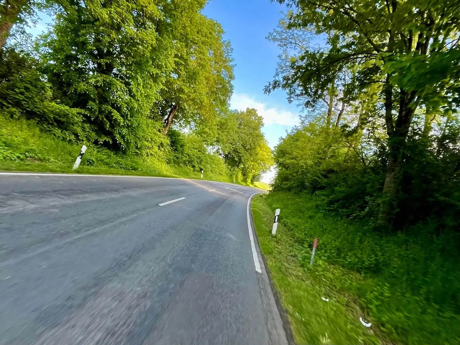 Asphaltstraße führt in sanfter Kurve durch dichten grünen Baumbestand; Sonnenlicht fällt durch Blätter auf die Fahrbahn. | © DAV Markt Schwaben/Miron Thoms