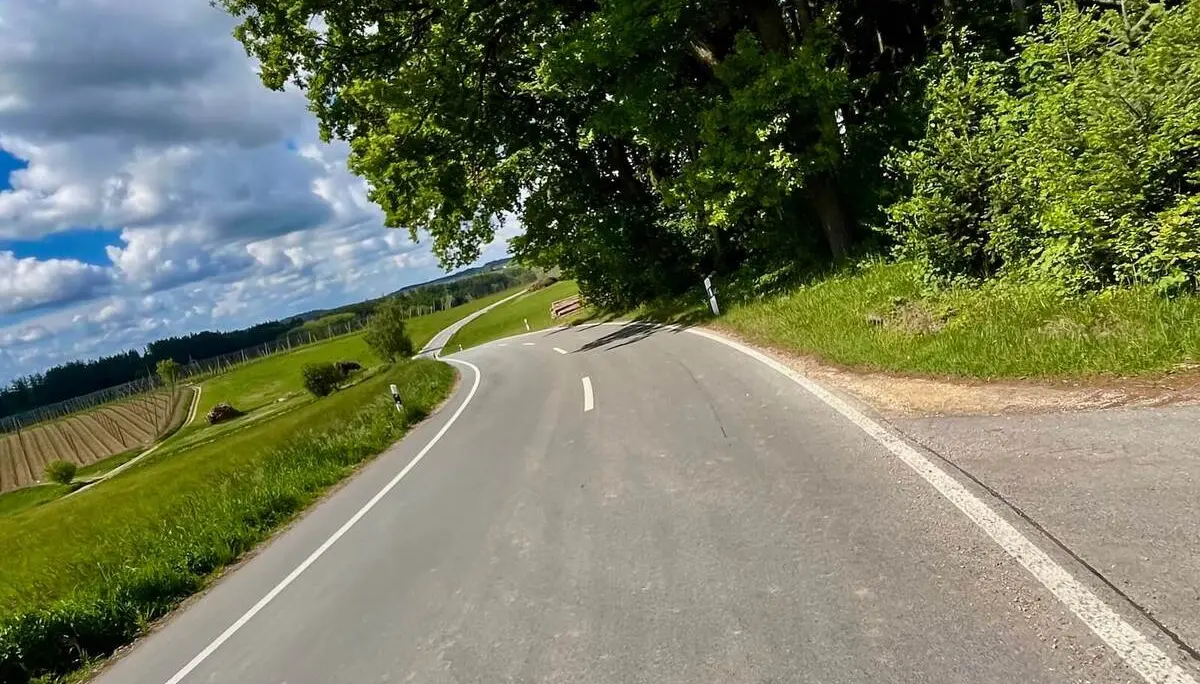 Straße führt in geschwungener Linie durch hügelige Landschaft mit Feldern und Bäumen; Hopfengärten und wolkiger Himmel prägen die Umgebung. | © DAV Markt Schwaben/Miron Thoms