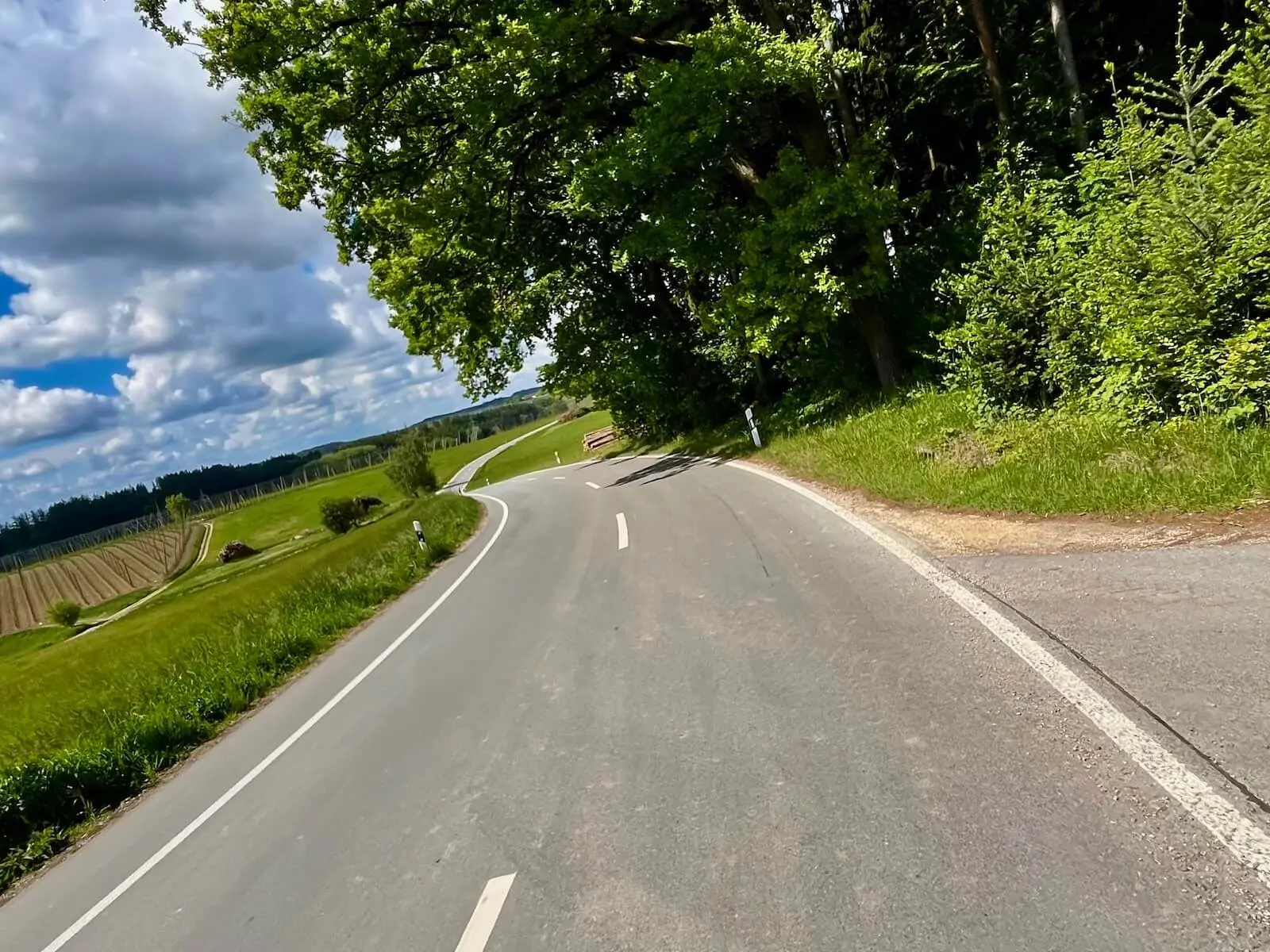 Straße führt in geschwungener Linie durch hügelige Landschaft mit Feldern und Bäumen; Hopfengärten und wolkiger Himmel prägen die Umgebung. | © DAV Markt Schwaben/Miron Thoms