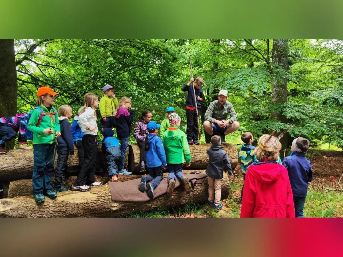 Kinder stehen und sitzen auf einem umgestürzten Baumstamm im Wald, während eine erwachsene Person Aufgaben erklärt; dichter grüner Wald umgibt die Szene. | © DAV Markt Schwaben