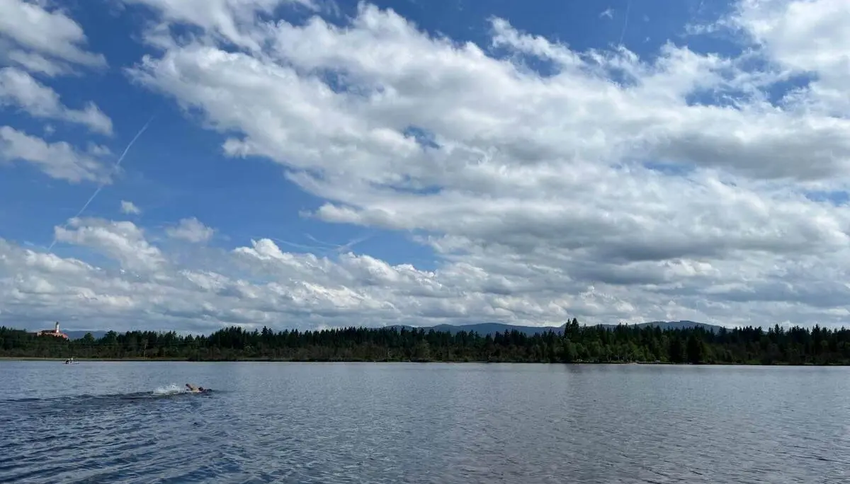 Eine Person schwimmt in einem See, im Hintergrund sind ein bewaldetes Ufer, Hügel und ein weiter Himmel mit vielen Wolken zu sehen. | © DAV Markt Schwaben / Lara Wolff
