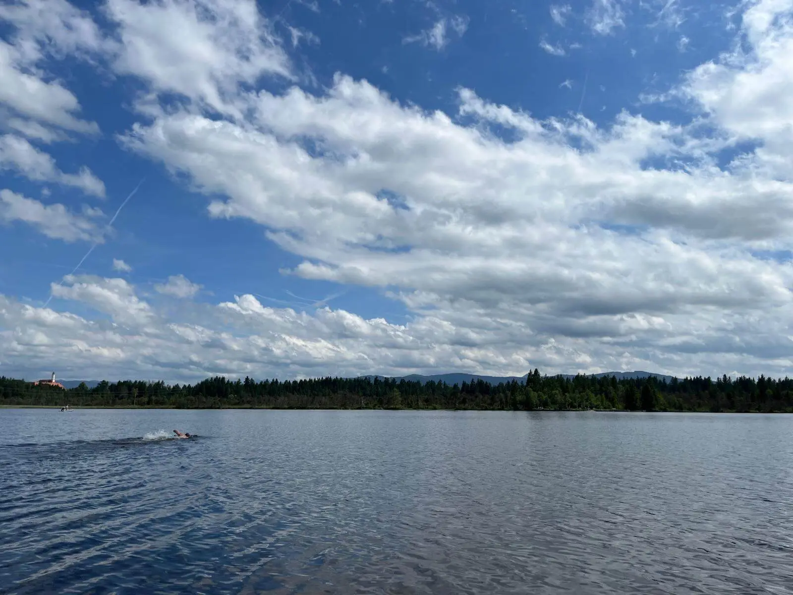 Eine Person schwimmt in einem See, im Hintergrund sind ein bewaldetes Ufer, Hügel und ein weiter Himmel mit vielen Wolken zu sehen. | © DAV Markt Schwaben / Lara Wolff