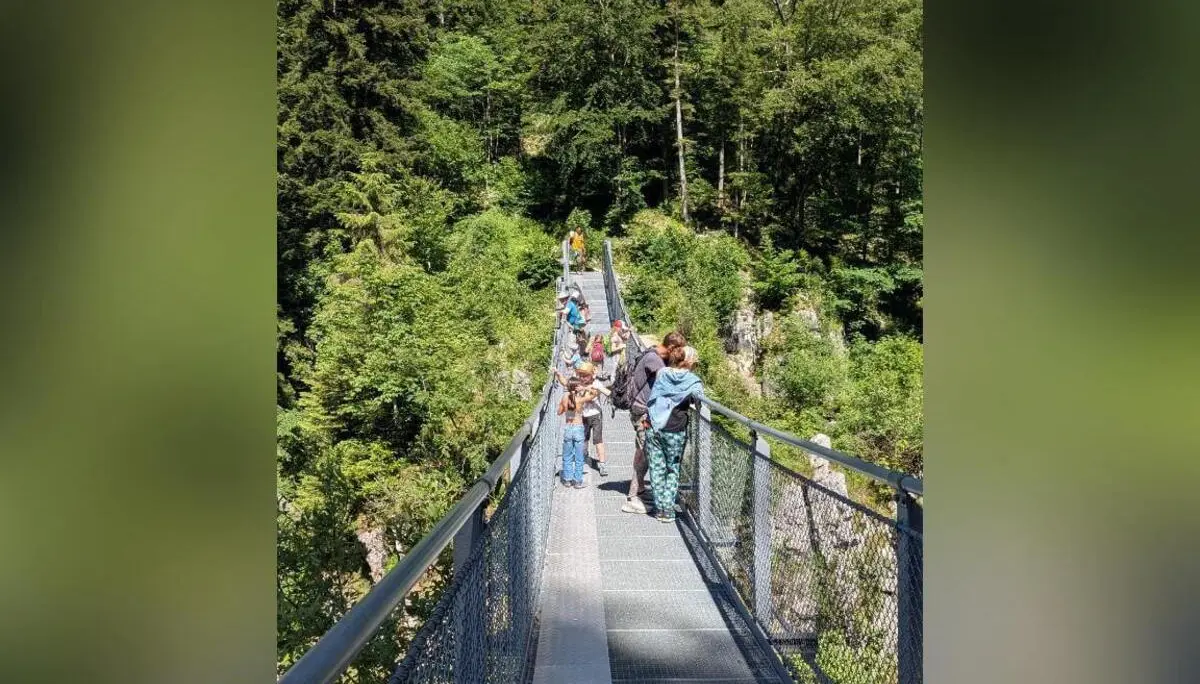 Mehrere Personen gehen über eine schmale Hängebrücke über einer bewaldeten Schlucht, umgeben von dichtem Grün im Sonnenschein. | © DAV Markt Schwaben / Silke Titze