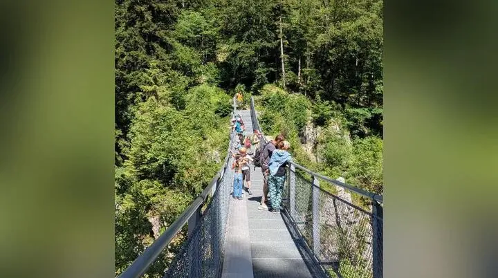 Mehrere Personen gehen über eine schmale Hängebrücke über einer bewaldeten Schlucht, umgeben von dichtem Grün im Sonnenschein. | © DAV Markt Schwaben / Silke Titze