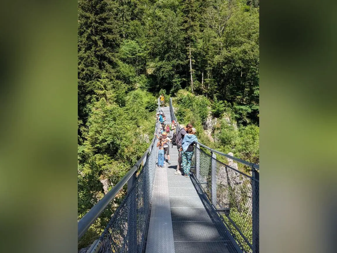 Mehrere Personen gehen über eine schmale Hängebrücke über einer bewaldeten Schlucht, umgeben von dichtem Grün im Sonnenschein. | © DAV Markt Schwaben / Silke Titze