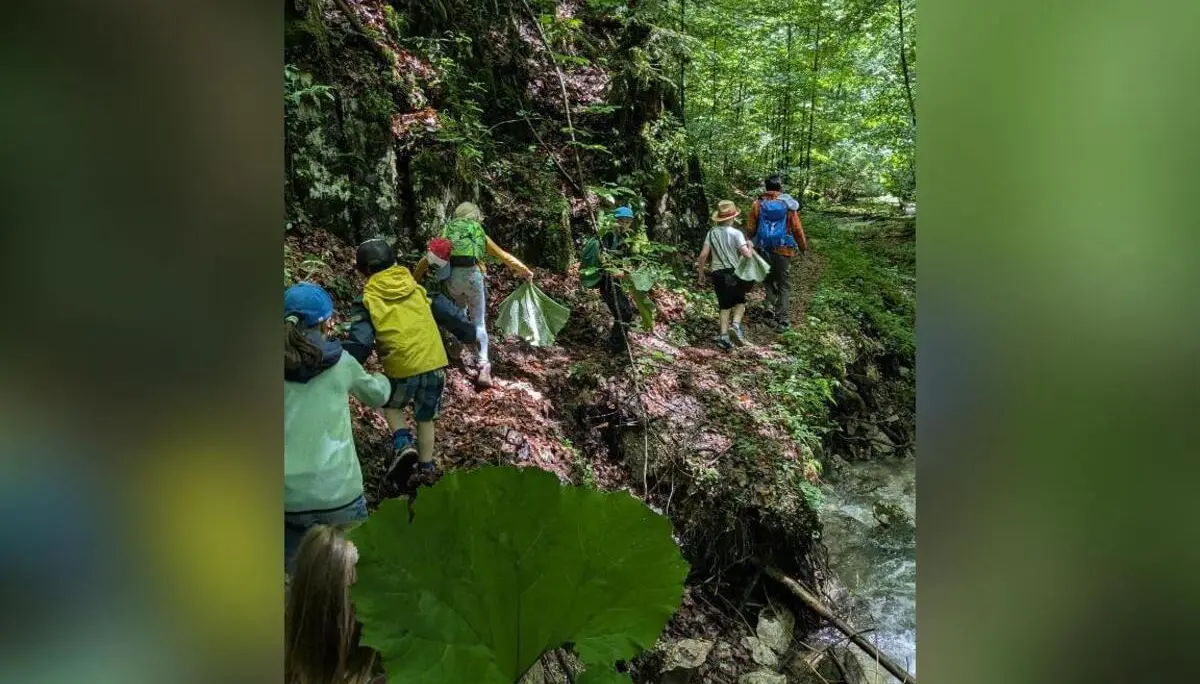Eine Gruppe Kinder wandert auf einem schmalen, matschigen Waldpfad entlang eines Baches, mit Felsen, dichtem Grün und großen Blättern im Vordergrund. | © DAV Markt Schwaben / Silke Titze