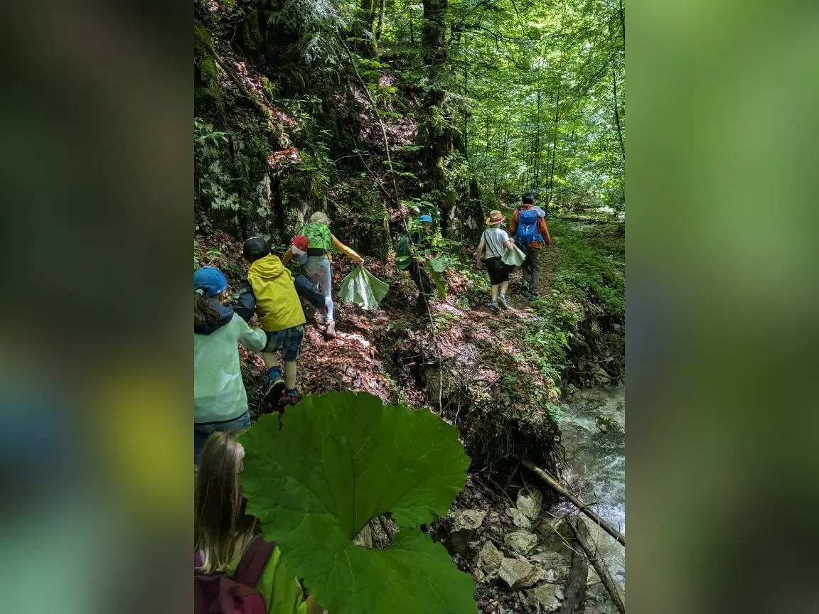 Eine Gruppe Kinder wandert auf einem schmalen, matschigen Waldpfad entlang eines Baches, mit Felsen, dichtem Grün und großen Blättern im Vordergrund. | © DAV Markt Schwaben / Silke Titze