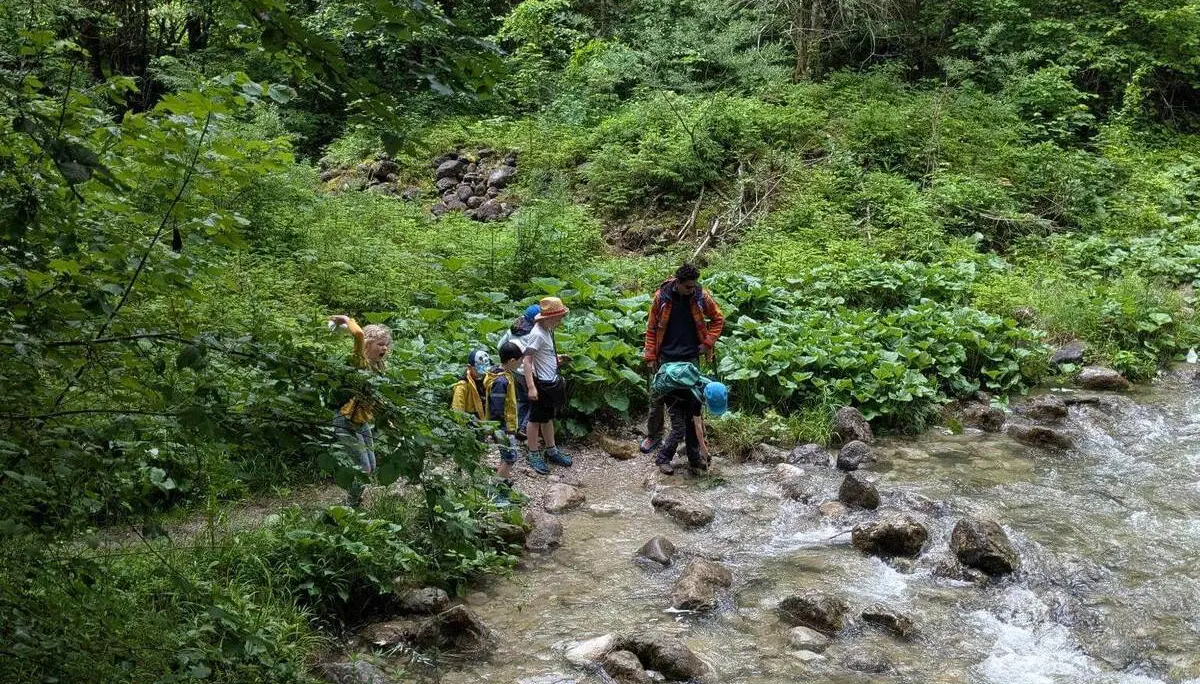 Eine Gruppe steht an einem Bach im Wald und überquert vorsichtig große Steine im fließenden Wasser, umgeben von dichtem Grün. | © DAV Markt Schwaben / Silke Titze