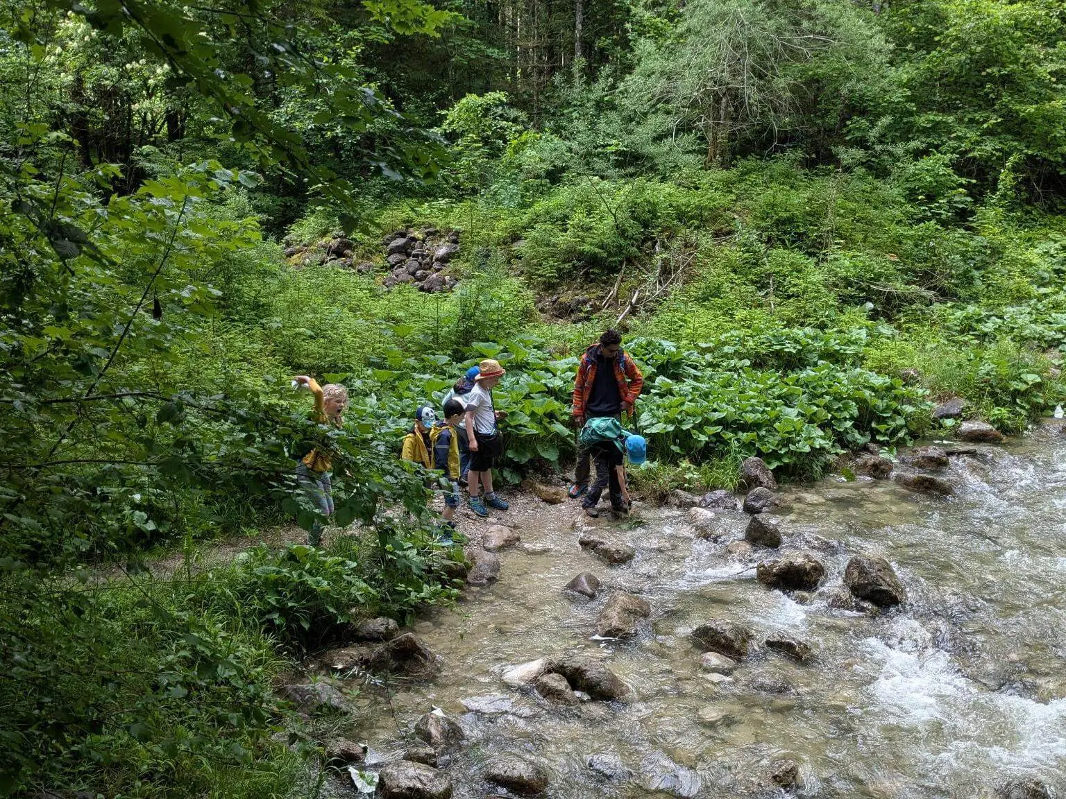 Eine Gruppe steht an einem Bach im Wald und überquert vorsichtig große Steine im fließenden Wasser, umgeben von dichtem Grün. | © DAV Markt Schwaben / Silke Titze
