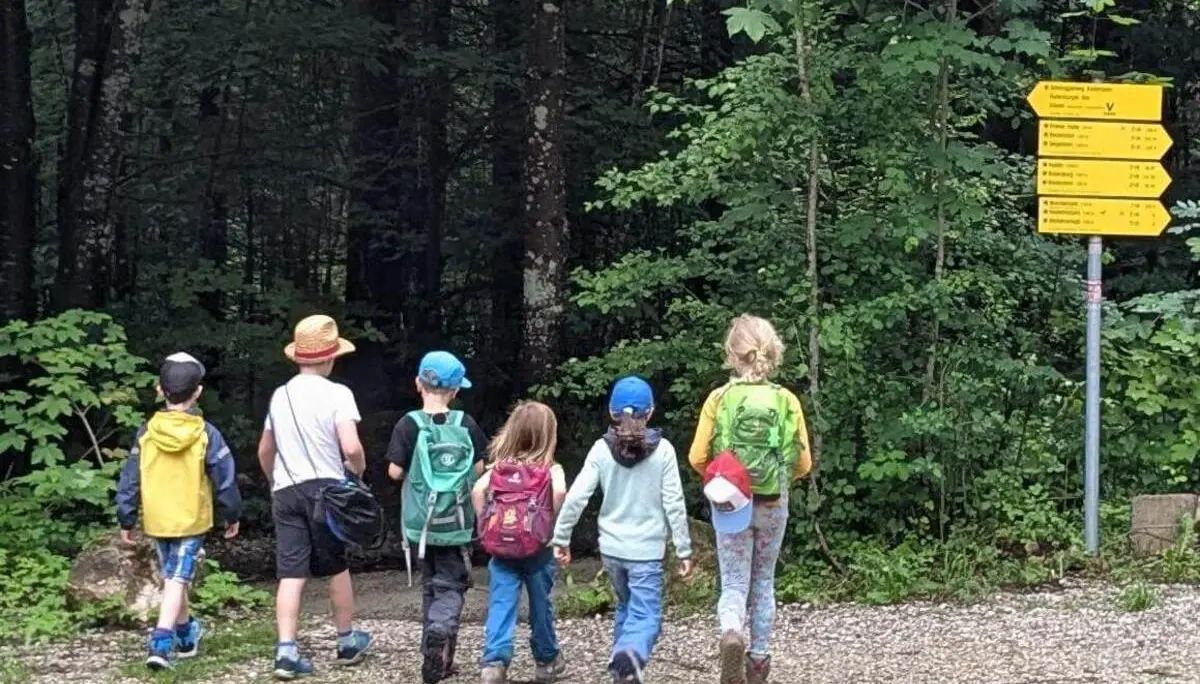 Sechs Kinder mit Rucksäcken gehen auf einem Schotterweg in einen dichten Wald, neben ihnen steht ein gelber Wanderwegweiser mit mehreren Richtungen. | © DAV Markt Schwaben / Silke Titze