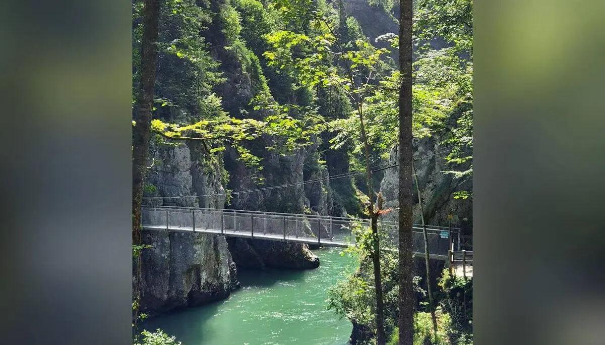 Hängebrücke über dem türkisgrünen Wasser der Entenlochklamm, eingerahmt von Felsen und dichtem Bergwald. | © DAV Markt Schwaben / Hubert Inhofer
