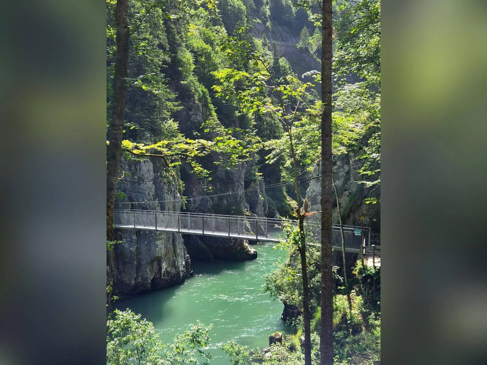 Hängebrücke über dem türkisgrünen Wasser der Entenlochklamm, eingerahmt von Felsen und dichtem Bergwald. | © DAV Markt Schwaben / Hubert Inhofer