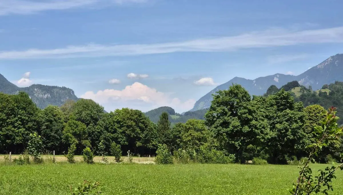 Weite Wiese mit Baumreihen vor bewaldeten Bergen bei Ettenhausen, darüber ein blauer Himmel mit lockeren Wolken. | © DAV Markt Schwaben / Hubert Inhofer