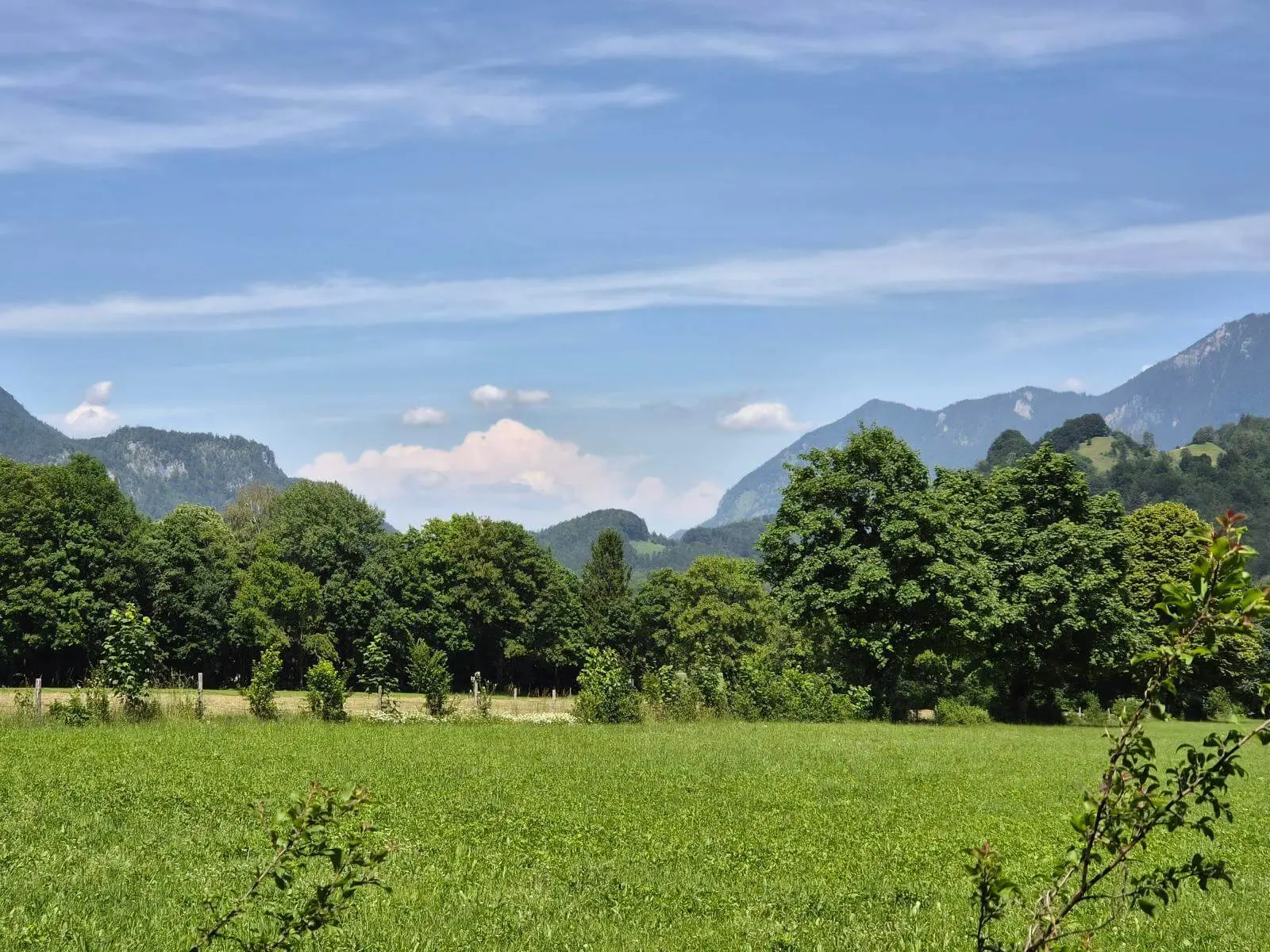 Weite Wiese mit Baumreihen vor bewaldeten Bergen bei Ettenhausen, darüber ein blauer Himmel mit lockeren Wolken. | © DAV Markt Schwaben / Hubert Inhofer