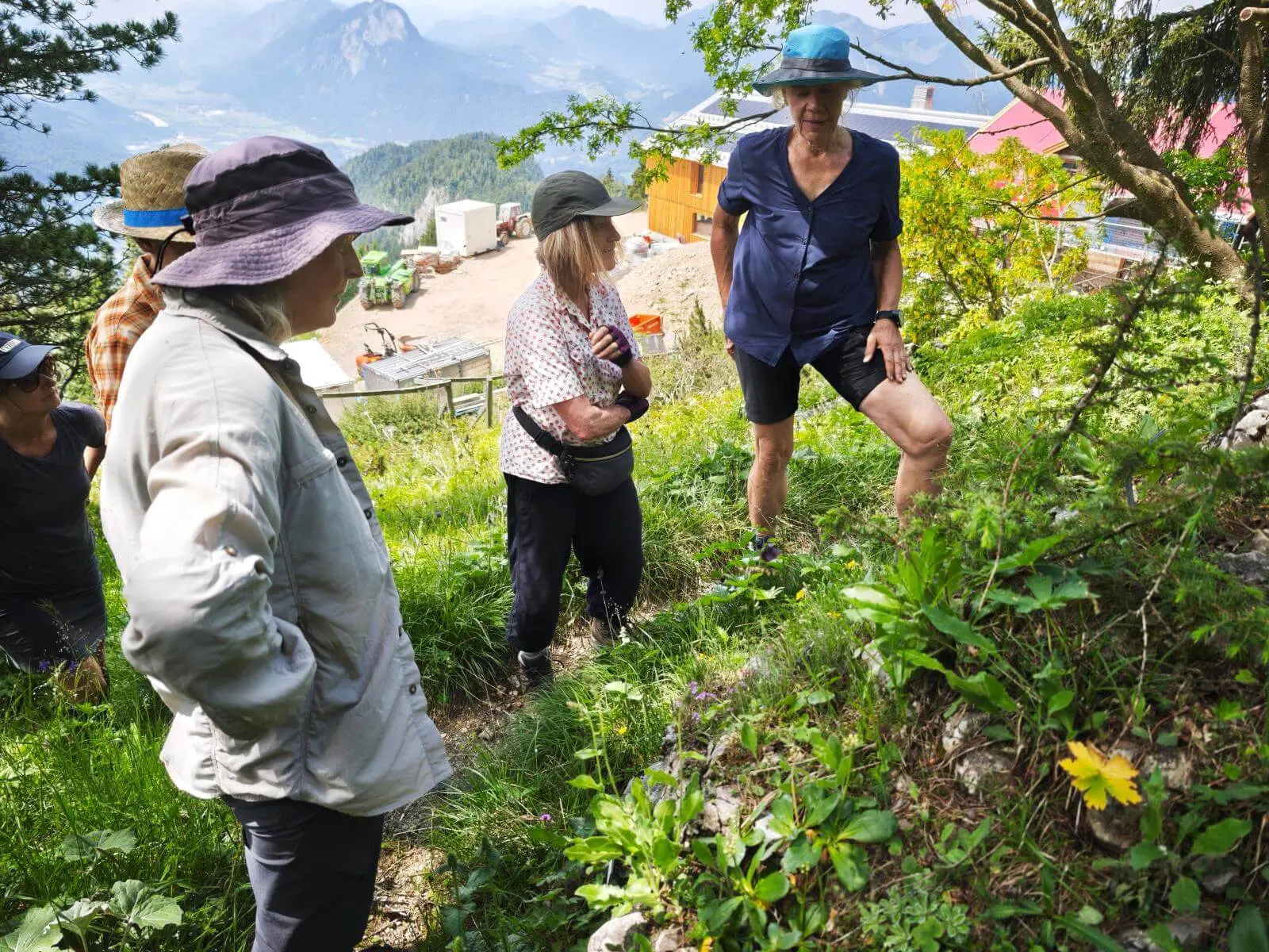 Wandergruppe folgt einer Führung durch den Alpengarten Vorderkaiserfelden und betrachtet alpine Pflanzen am Berghang. | © DAV Markt Schwaben / Erwin Matzinger
