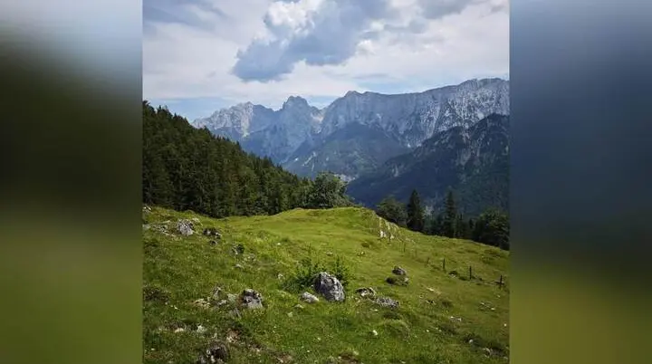 Bergwiese am Rand eines Bergwalds mit weitem Blick auf die Gipfel des Kaisergebirges unter hohen Sommerwolken. | © DAV Markt Schwaben / Erwin Matzinger