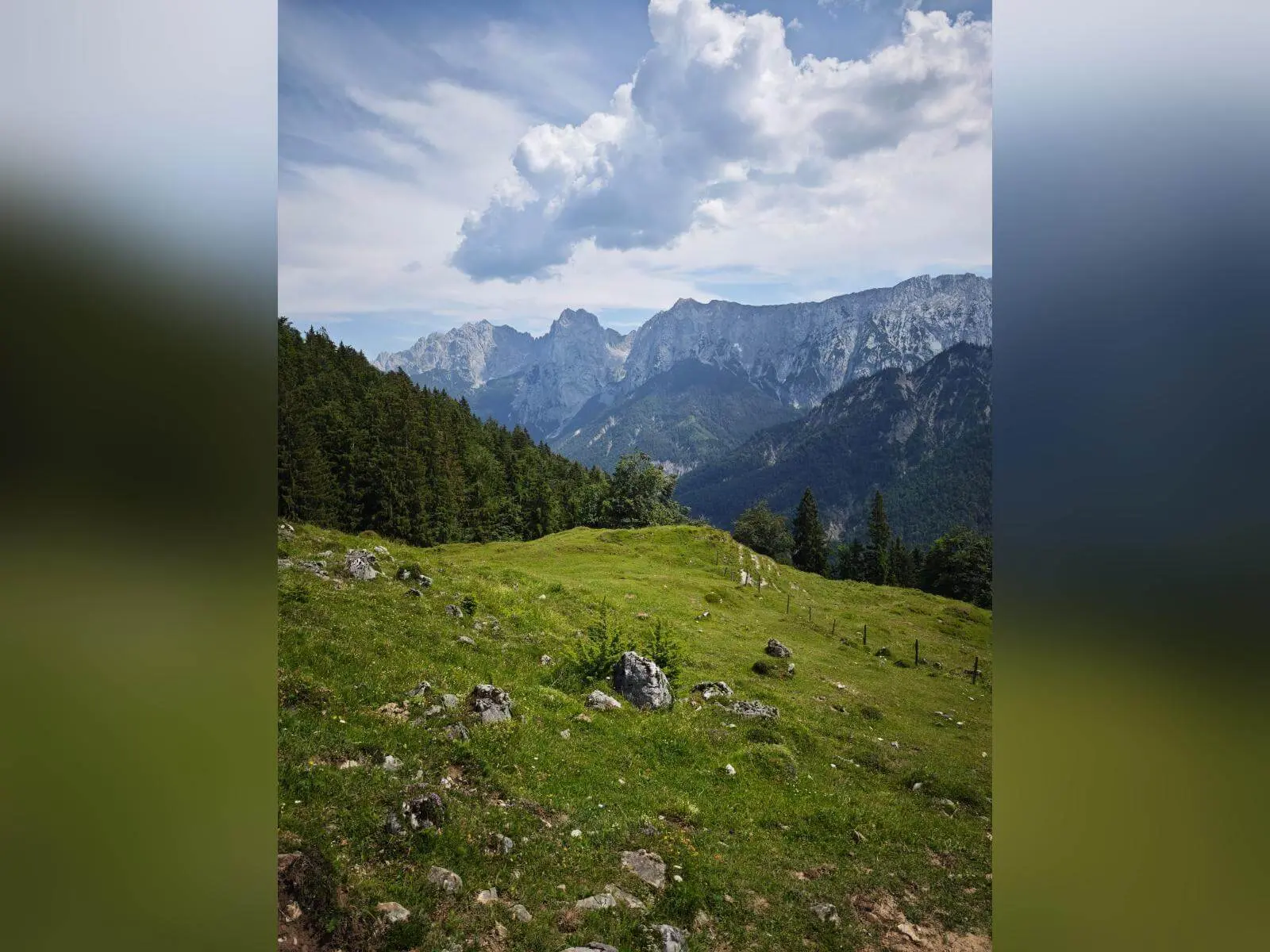 Bergwiese am Rand eines Bergwalds mit weitem Blick auf die Gipfel des Kaisergebirges unter hohen Sommerwolken. | © DAV Markt Schwaben / Erwin Matzinger