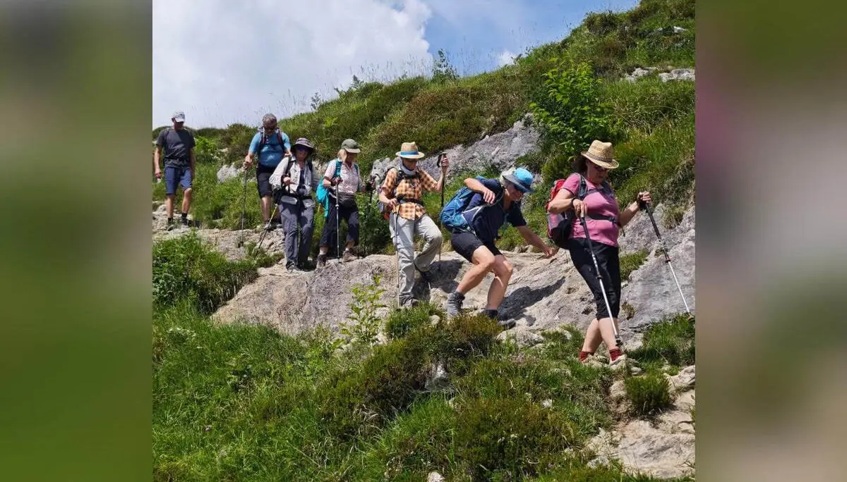 Wandergruppe steigt auf einem steinigen Bergweg durch alpine Wiesen bergab und nutzt dabei Wanderstöcke. | © DAV Markt Schwaben / Erwin Matzinger
