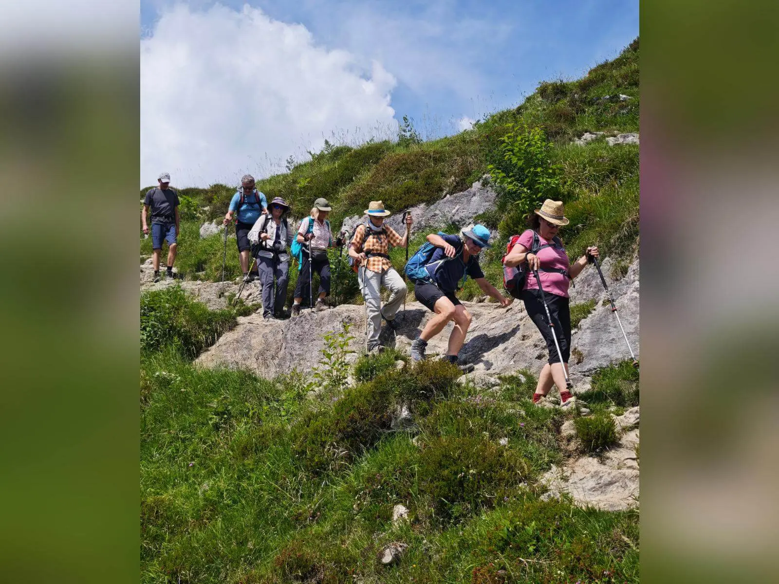 Wandergruppe steigt auf einem steinigen Bergweg durch alpine Wiesen bergab und nutzt dabei Wanderstöcke. | © DAV Markt Schwaben / Erwin Matzinger