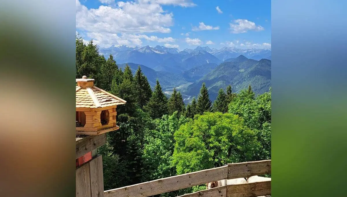 Blick von einer Hüttenterrasse über dichten Bergwald auf ein weites Alpenpanorama mit Gipfeln unter blauem Himmel und Wolken. | © DAV Markt Schwaben / Tanja Döhler