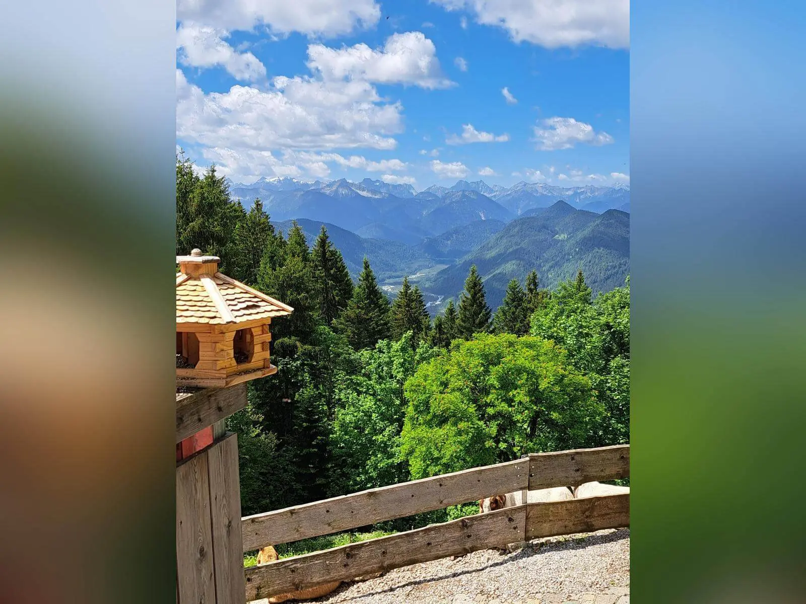 Blick von einer Hüttenterrasse über dichten Bergwald auf ein weites Alpenpanorama mit Gipfeln unter blauem Himmel und Wolken. | © DAV Markt Schwaben / Tanja Döhler