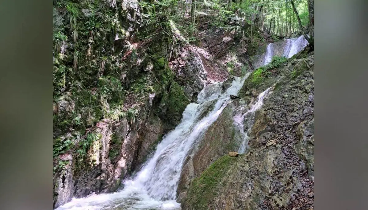 Ein mehrstufiger Wasserfall stürzt über moosbewachsene Felsen in ein kleines Becken, umgeben von dichtem Bergwald. | © DAV Markt Schwaben / Tanja Döhler