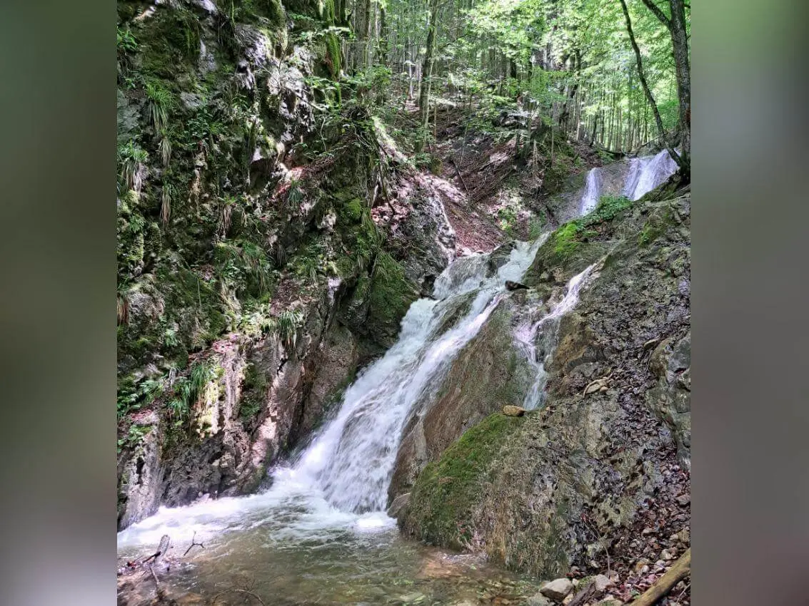 Ein mehrstufiger Wasserfall stürzt über moosbewachsene Felsen in ein kleines Becken, umgeben von dichtem Bergwald. | © DAV Markt Schwaben / Tanja Döhler