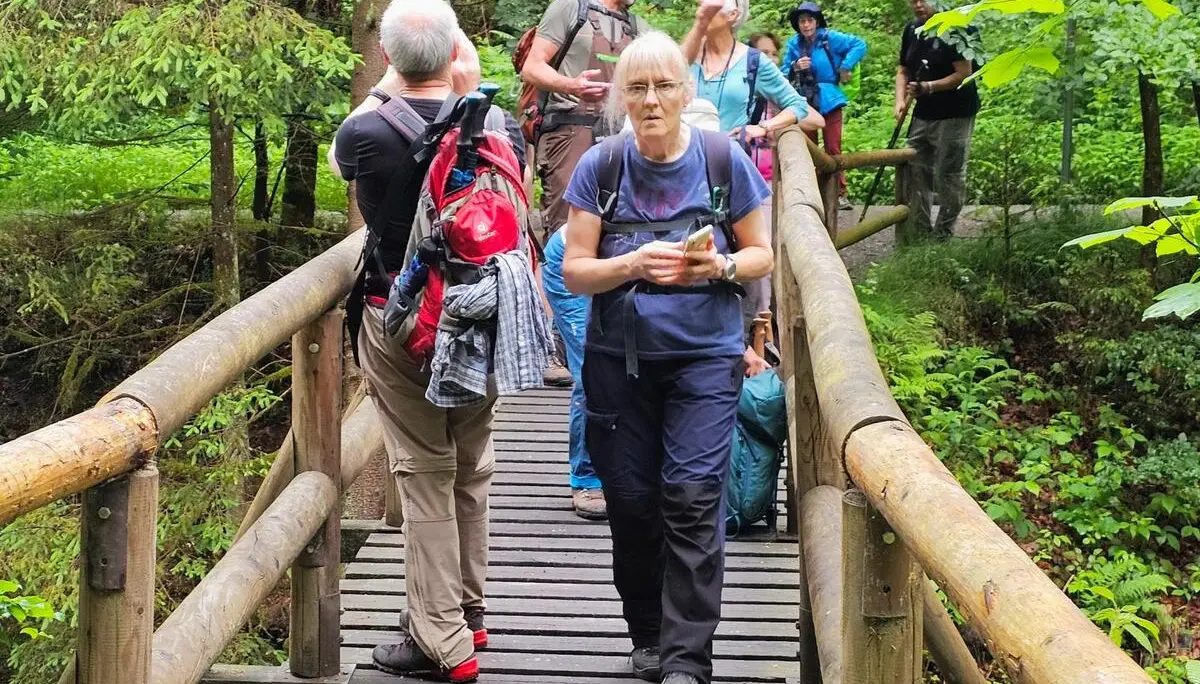 Mehrere Wandernde überqueren eine schmale Holzbrücke im Wald. Dichtes Grün umgibt den Steg über einem kleinen Taleinschnitt. | © DAV Markt Schwaben/Lutz Gründel