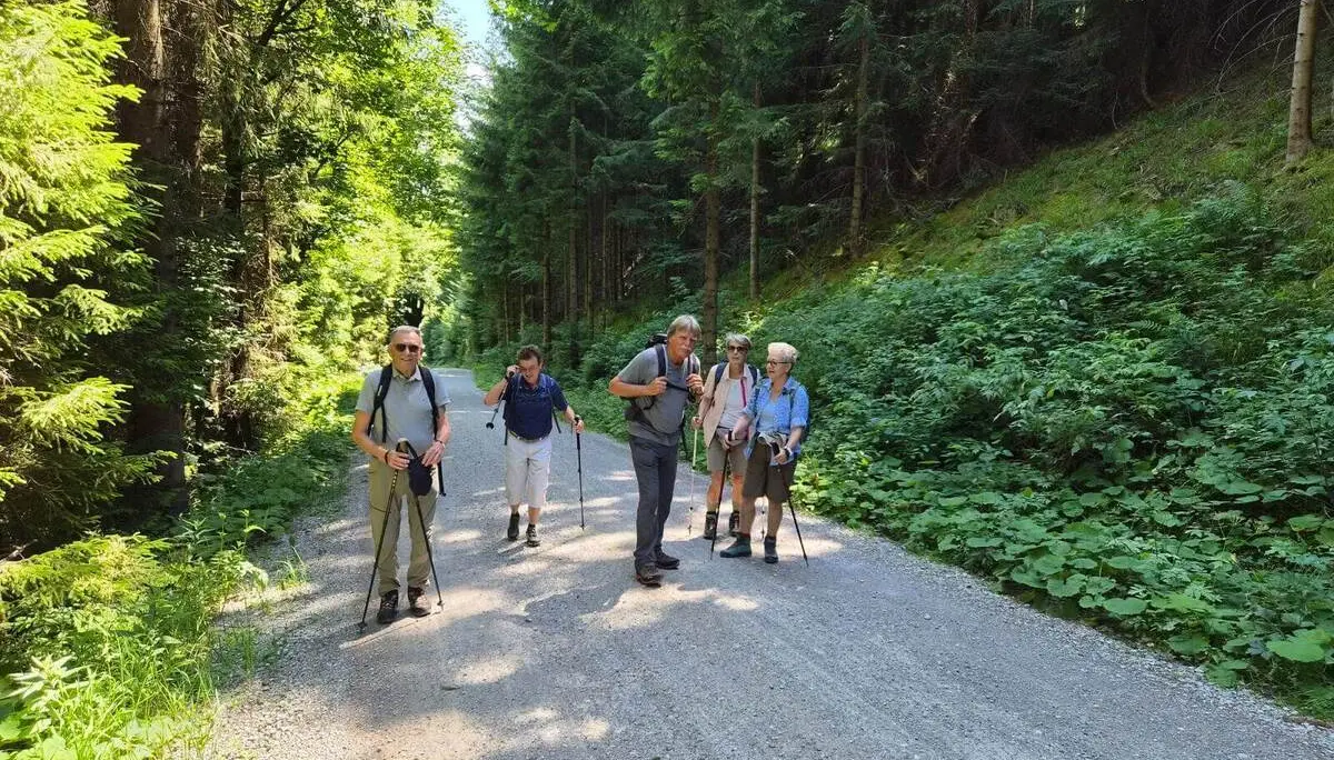 Fünf Wandernde mit Trekkingstöcken gehen auf einer breiten Forststraße durch dichten, sonnigen Bergwald am Blomberg. | © DAV Markt Schwaben / Hubert Inhofer