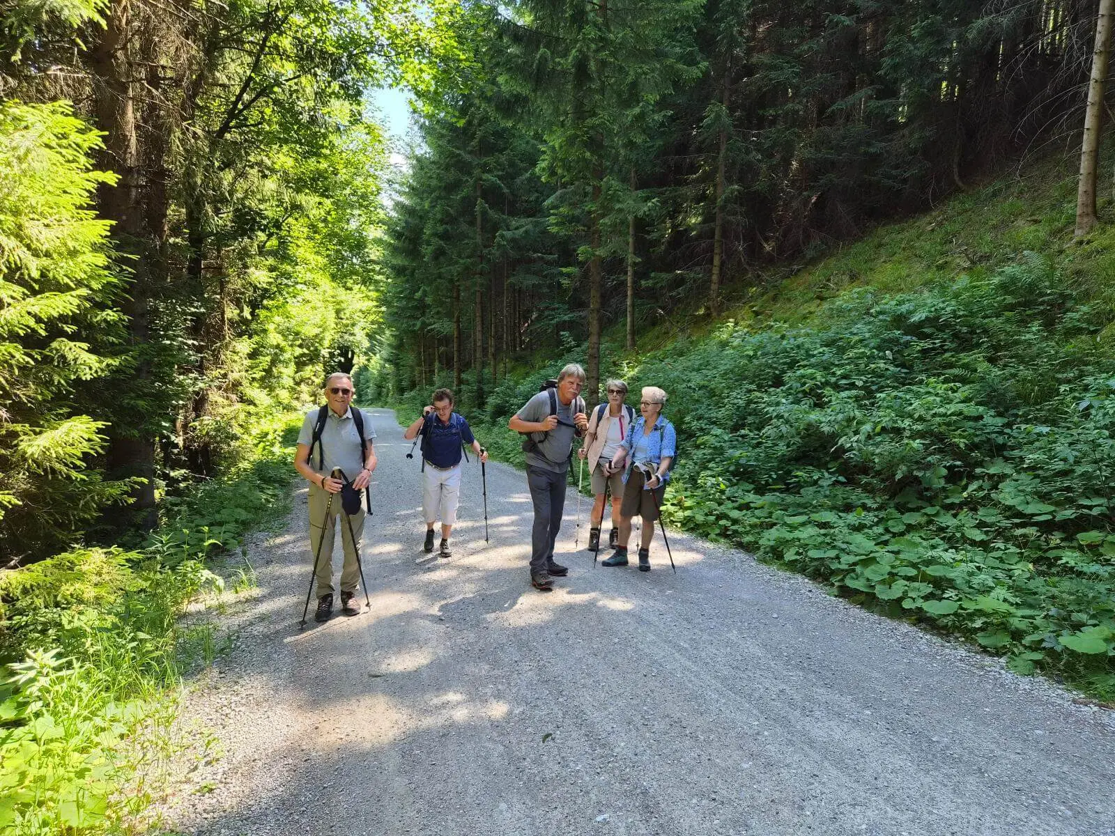 Fünf Wandernde mit Trekkingstöcken gehen auf einer breiten Forststraße durch dichten, sonnigen Bergwald am Blomberg. | © DAV Markt Schwaben / Hubert Inhofer