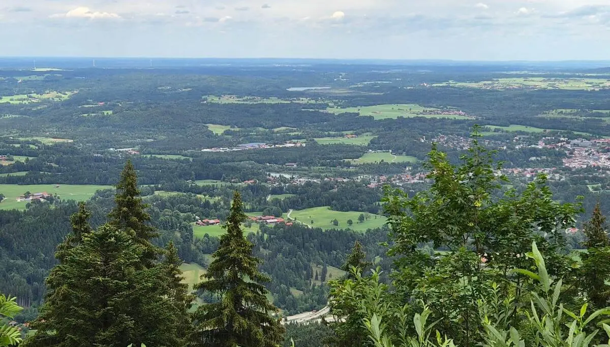 Weitblick vom Blomberg über Wälder, Wiesen und Ortschaften im Voralpenland; im Vordergrund stehen hohe Nadelbäume. | © DAV Markt Schwaben / Hubert Inhofer