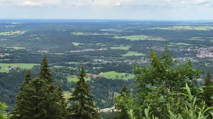 Weitblick vom Blomberg über Wälder, Wiesen und Ortschaften im Voralpenland; im Vordergrund stehen hohe Nadelbäume. | © DAV Markt Schwaben / Hubert Inhofer