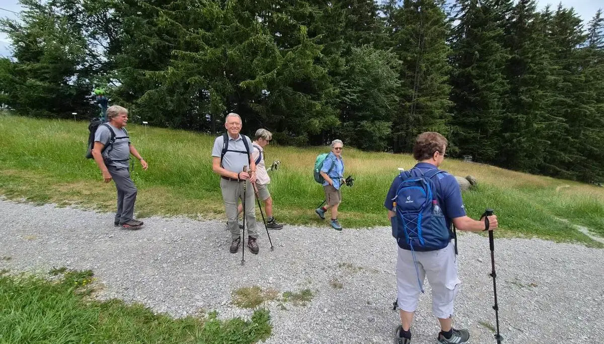 Fünf Wandernde mit Rucksäcken und Trekkingstöcken stehen auf einem Schotterweg neben einer Bergwiese vor dichtem Wald. | © DAV Markt Schwaben / Hubert Inhofer