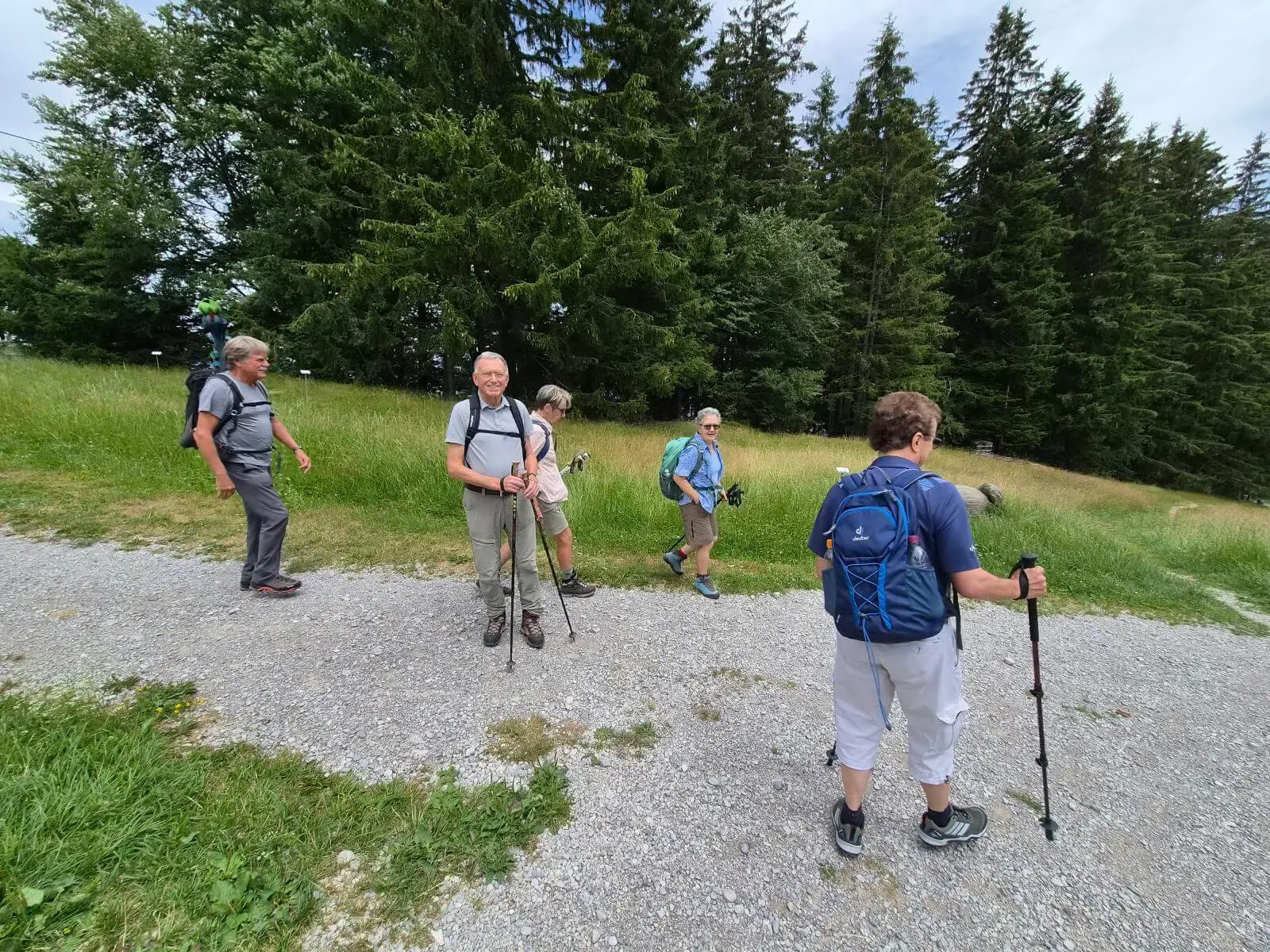 Fünf Wandernde mit Rucksäcken und Trekkingstöcken stehen auf einem Schotterweg neben einer Bergwiese vor dichtem Wald. | © DAV Markt Schwaben / Hubert Inhofer