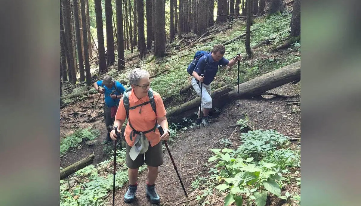 Drei Wandernde steigen mit Trekkingstöcken auf einem schmalen Waldpfad bergauf. Umgestürzte Baumstämme und hohe Nadelbäume säumen den Weg. | © DAV Markt Schwaben / Hubert Inhofer