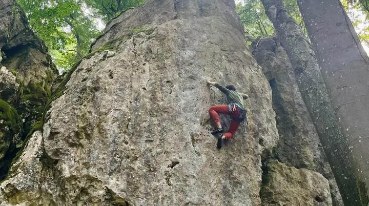 Eine kletternde Person steigt an einer hohen Felswand im Wald empor. Sicherungsseil und Ausrüstung sind sichtbar. | © DAV Markt Schwaben / Lara Wolff