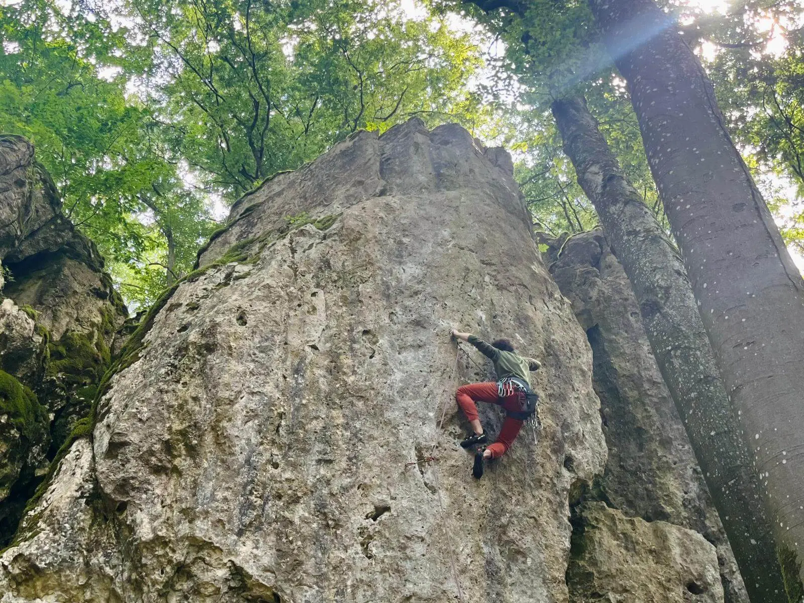 Eine kletternde Person steigt an einer hohen Felswand im Wald empor. Sicherungsseil und Ausrüstung sind sichtbar. | © DAV Markt Schwaben / Lara Wolff