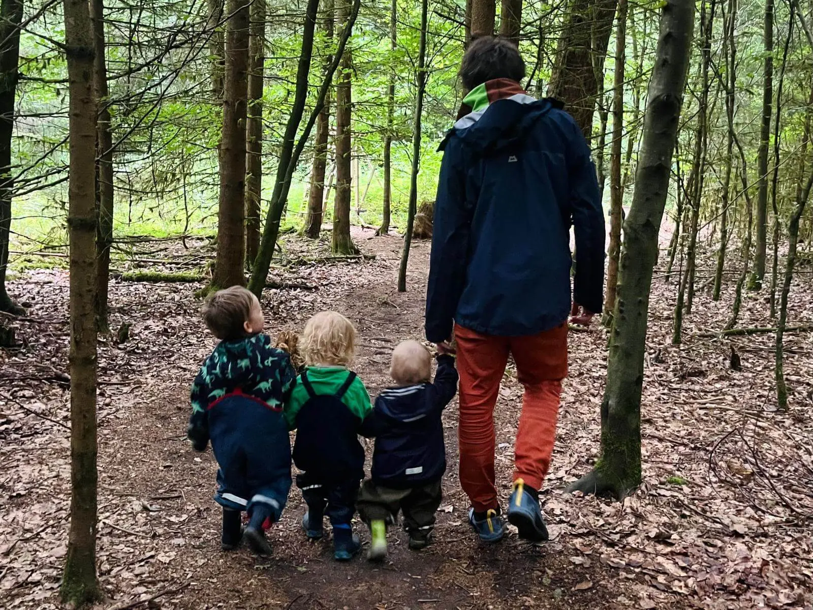 Eine erwachsene Person geht mit drei kleinen Kindern auf einem schmalen Waldweg. Hohe Bäume säumen den Pfad durch den Wald. | © DAV Markt Schwaben / Lara Wolff