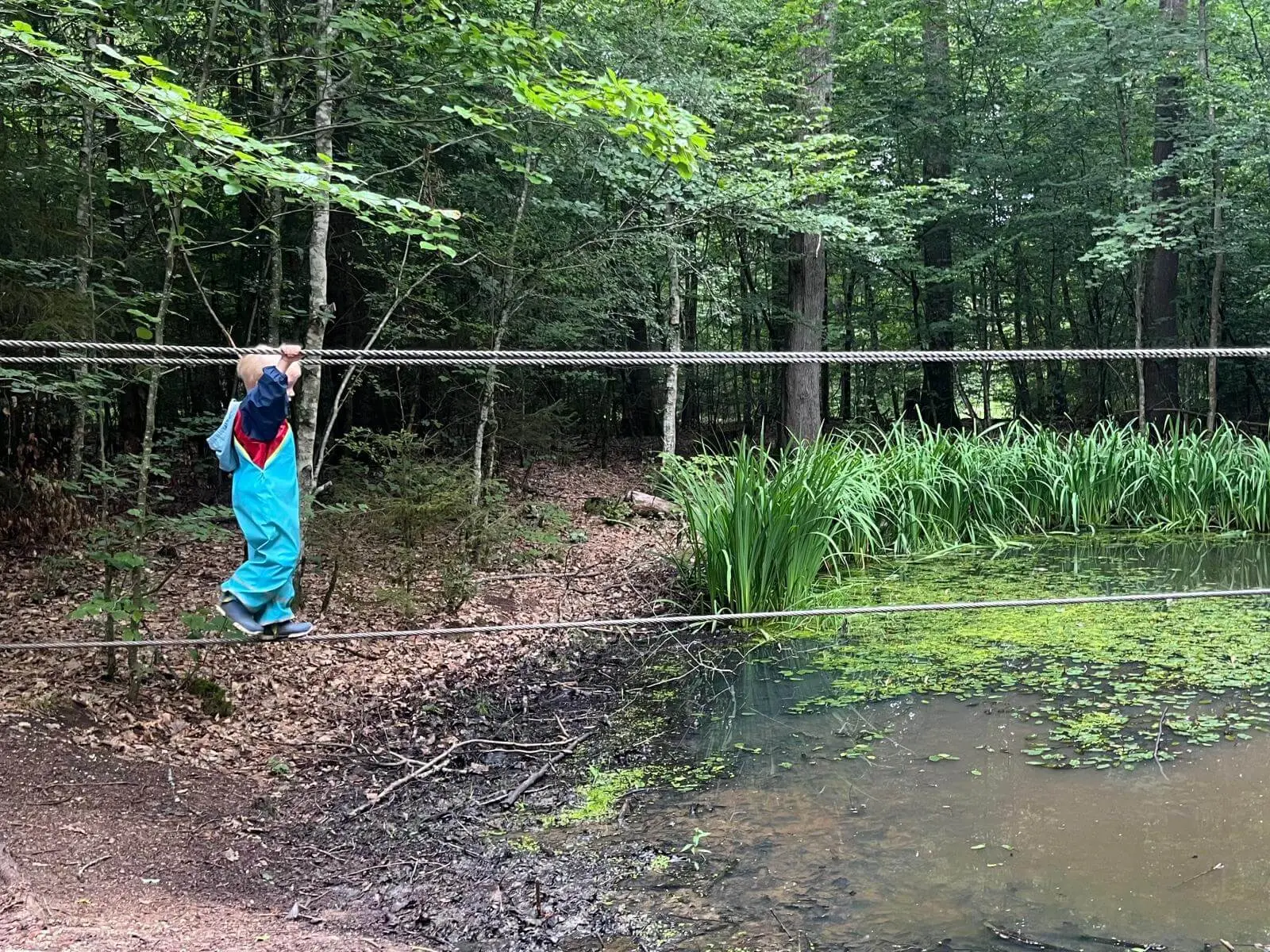 Ein Kind balanciert auf einem gespannten Seil am Rand eines Teichs und hält sich an einem oberen Seil fest. | © DAV Markt Schwaben / Lara Wolff