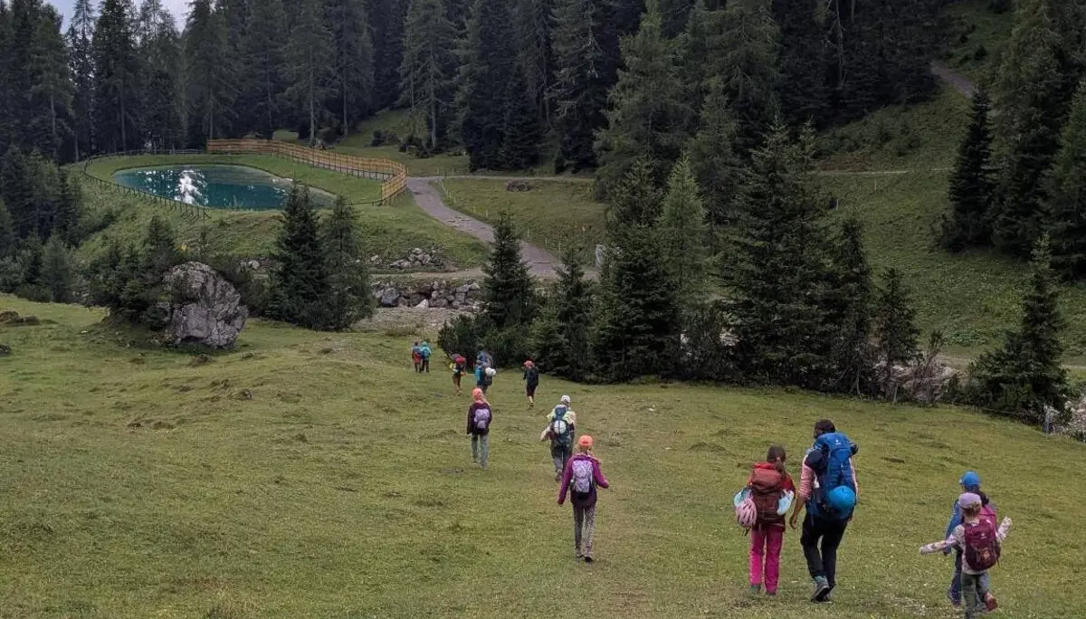 Eine Wandergruppe mit Kindern und Erwachsenen steigt über eine Almwiese talwärts. Im Hintergrund liegen ein kleiner Teich und dichter Nadelwald. | © DAV Markt Schwaben / Silke Titze