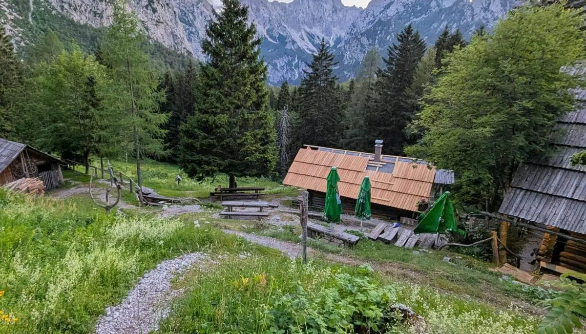 Bergwiesen und Hütten liegen im Vordergrund, dahinter ragen die felsigen Gipfel der Steiner Alpen über einen dichten Nadelwald empor. | © DAV Markt Schwaben/Michael Huber