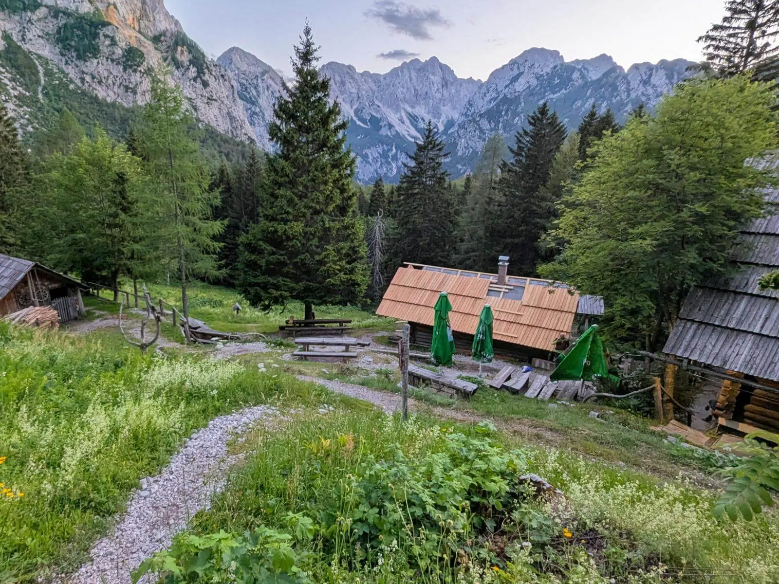 Bergwiesen und Hütten liegen im Vordergrund, dahinter ragen die felsigen Gipfel der Steiner Alpen über einen dichten Nadelwald empor. | © DAV Markt Schwaben/Michael Huber