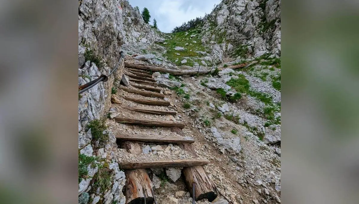 Eine aus Baumstämmen gebaute Leiter führt durch eine felsige Rinne bergauf. Ein Drahtseil unterstützt den steilen Anstieg im Karstgelände. | © DAV Markt Schwaben/Michael Huber