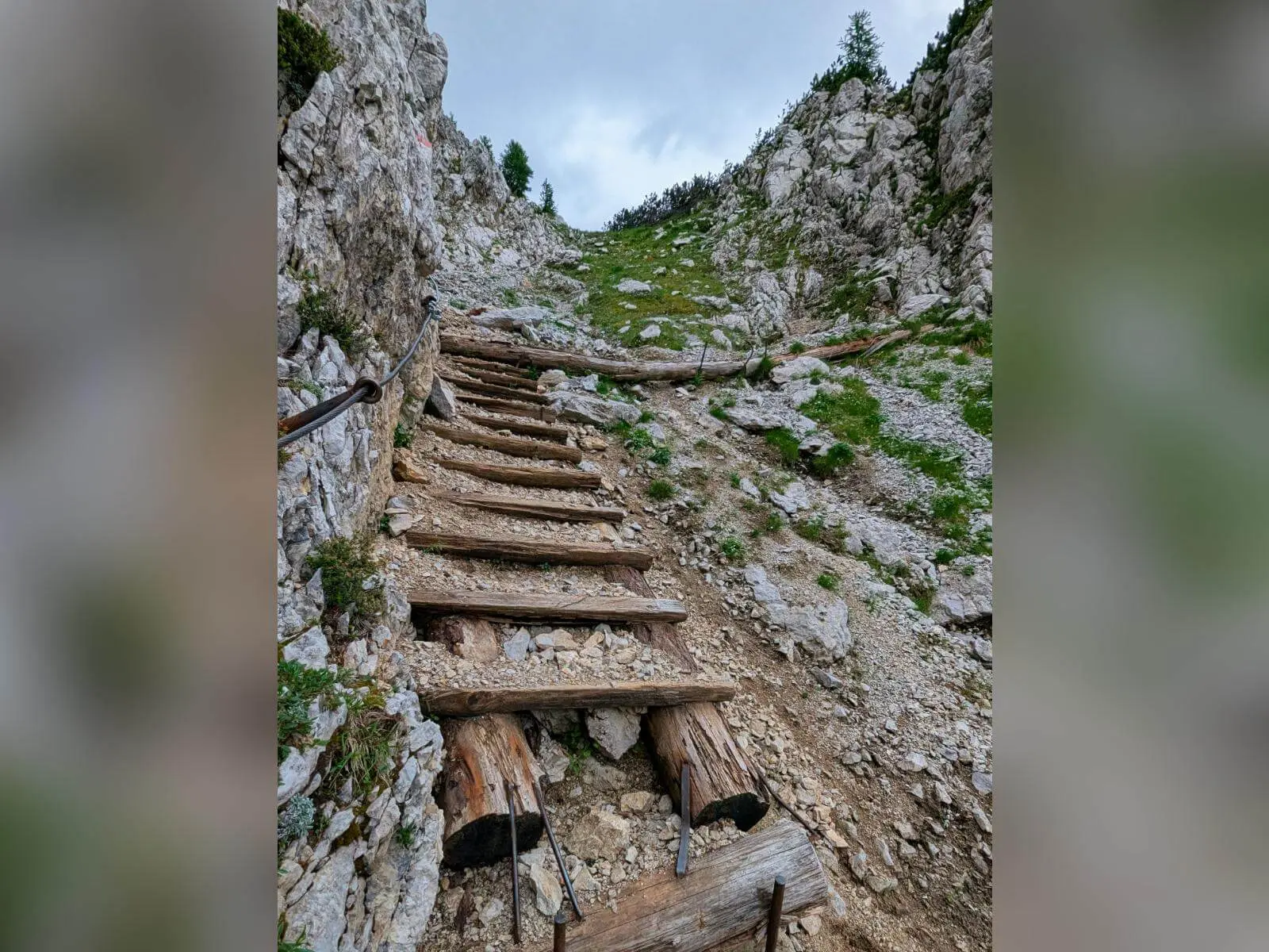 Eine aus Baumstämmen gebaute Leiter führt durch eine felsige Rinne bergauf. Ein Drahtseil unterstützt den steilen Anstieg im Karstgelände. | © DAV Markt Schwaben/Michael Huber