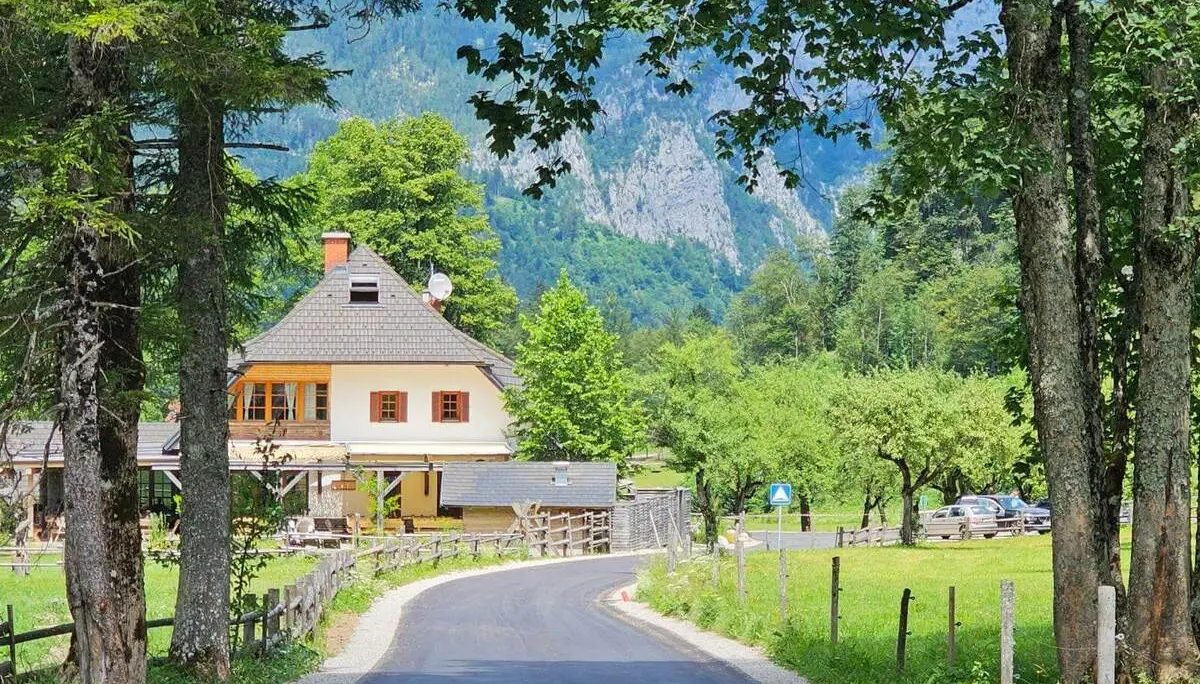 Eine schmale Asphaltstraße führt auf ein Bauernhaus im Logartal zu, eingerahmt von Bäumen und grünen Wiesen vor steilen Bergflanken. | © DAV Markt Schwaben/Lutz Gründel