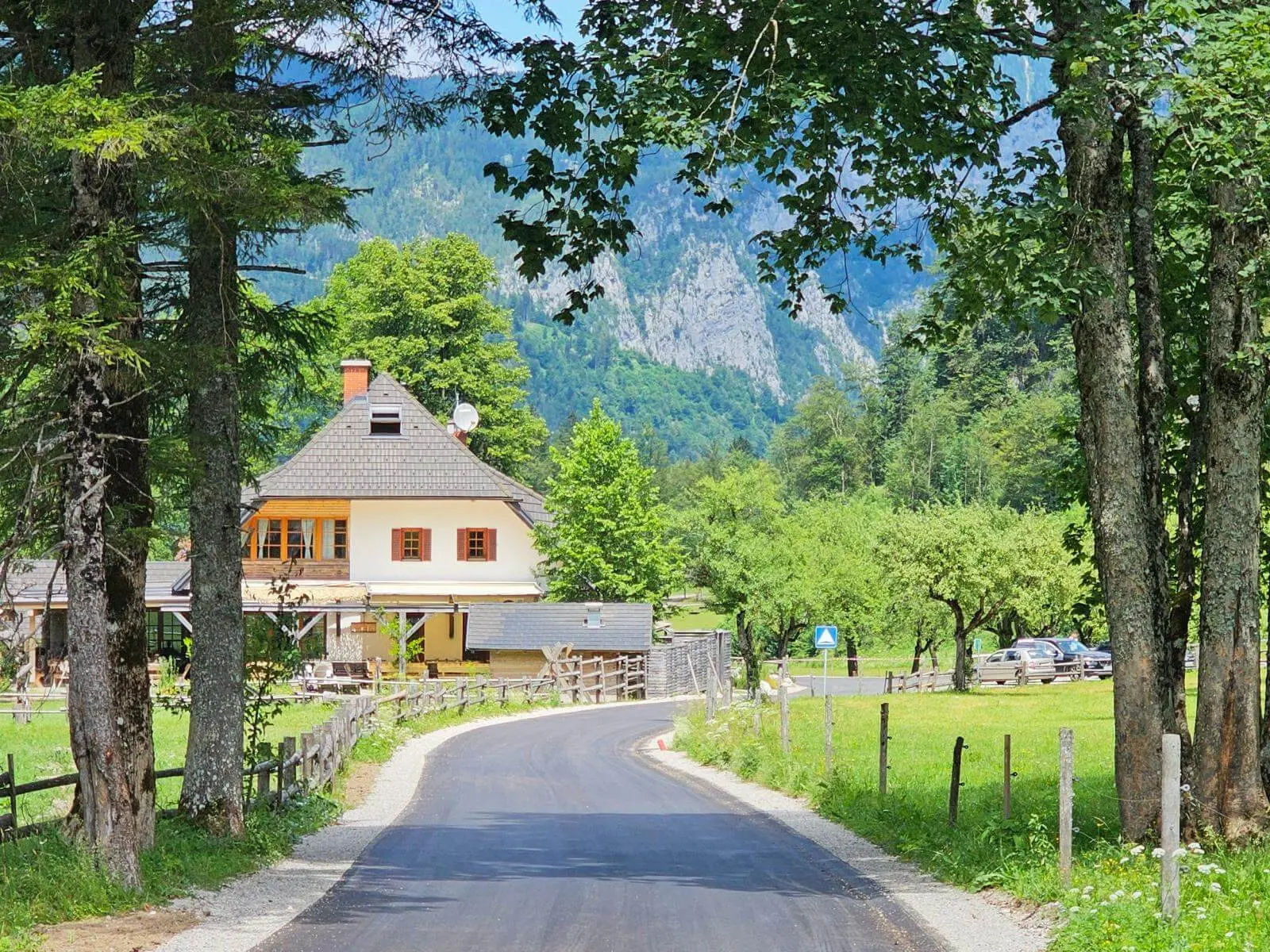 Eine schmale Asphaltstraße führt auf ein Bauernhaus im Logartal zu, eingerahmt von Bäumen und grünen Wiesen vor steilen Bergflanken. | © DAV Markt Schwaben/Lutz Gründel