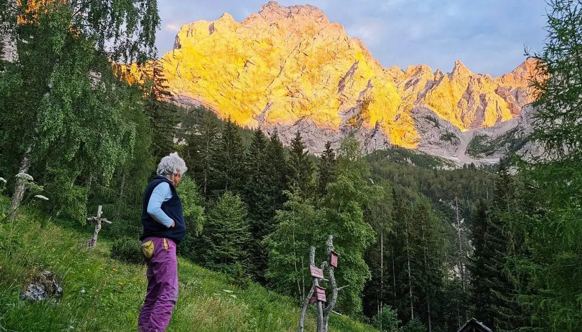 Eine Person steht auf einer Bergwiese und blickt auf sonnenbeschienene Felsgipfel. Das warme Alpenglühen hebt sich deutlich vom dunklen Wald und Himmel ab. | © DAV Markt Schwaben/Lutz Gründel