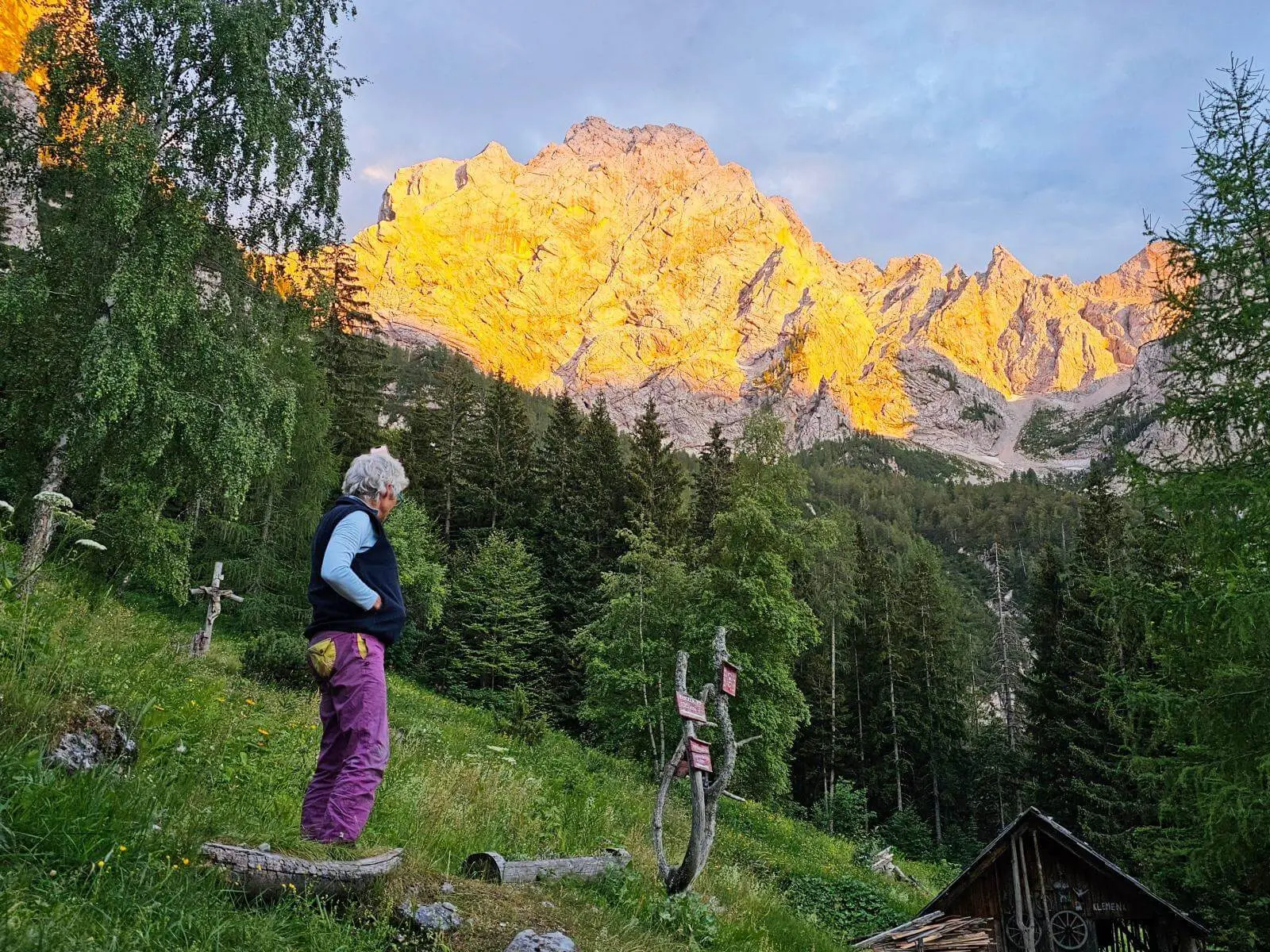 Eine Person steht auf einer Bergwiese und blickt auf sonnenbeschienene Felsgipfel. Das warme Alpenglühen hebt sich deutlich vom dunklen Wald und Himmel ab. | © DAV Markt Schwaben/Lutz Gründel